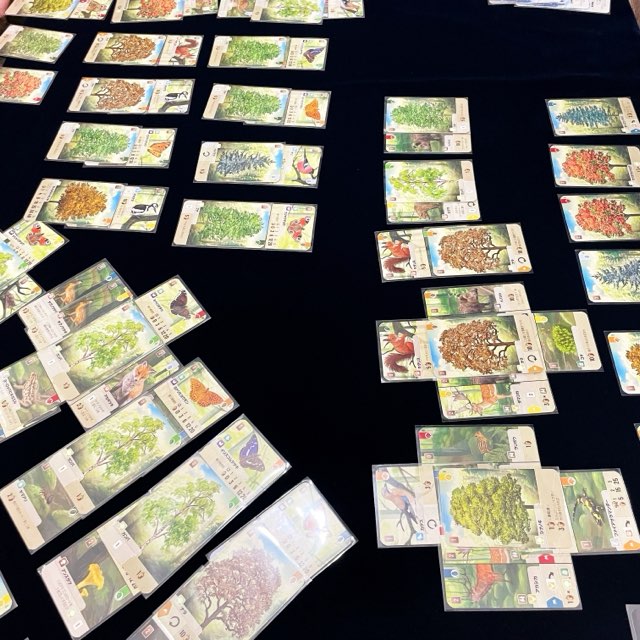 フォレストシャッフル、ボードゲーム