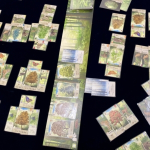 フォレストシャッフル、ボードゲーム