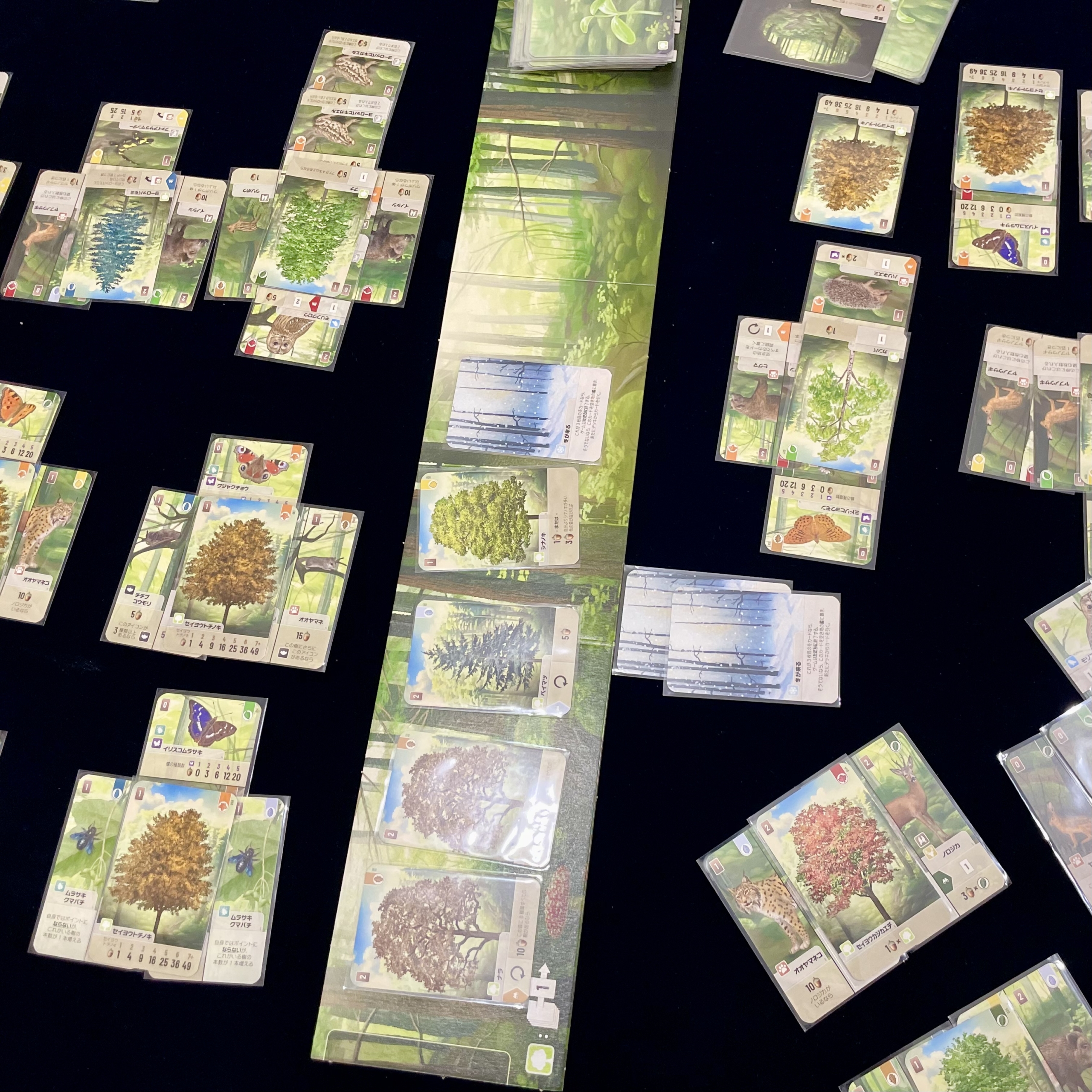 フォレストシャッフル、ボードゲーム