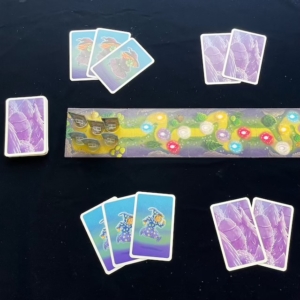 魔法の山カードゲーム、ボードゲーム